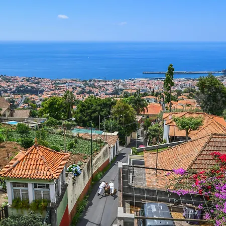 キンタ ミラベラ デザイン 5*