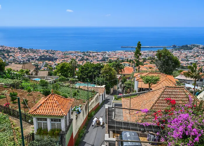 Quinta Mirabela - Design 5*